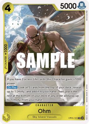 Ohm OP05-101 card