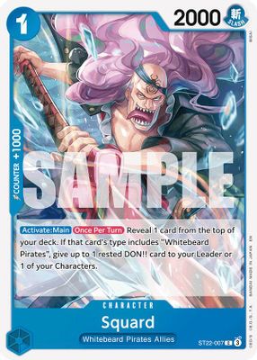 Squard ST22-007 card